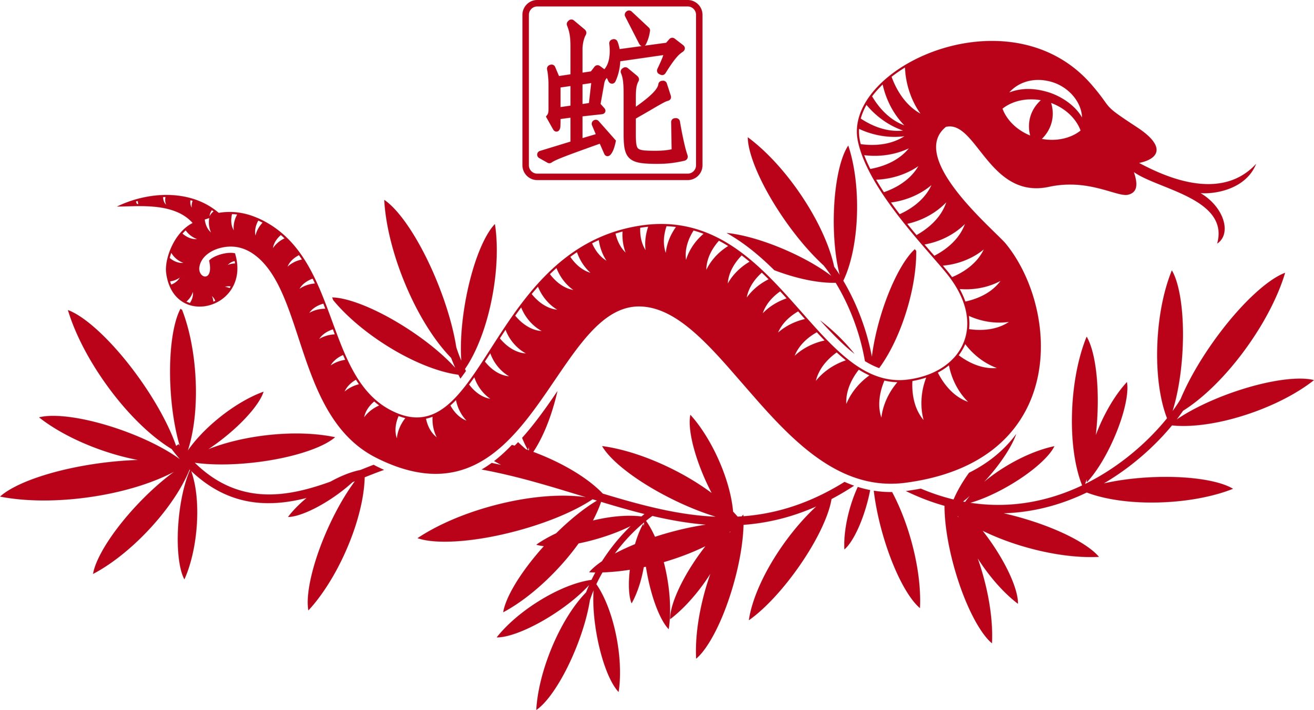2013 Chinese new year snake