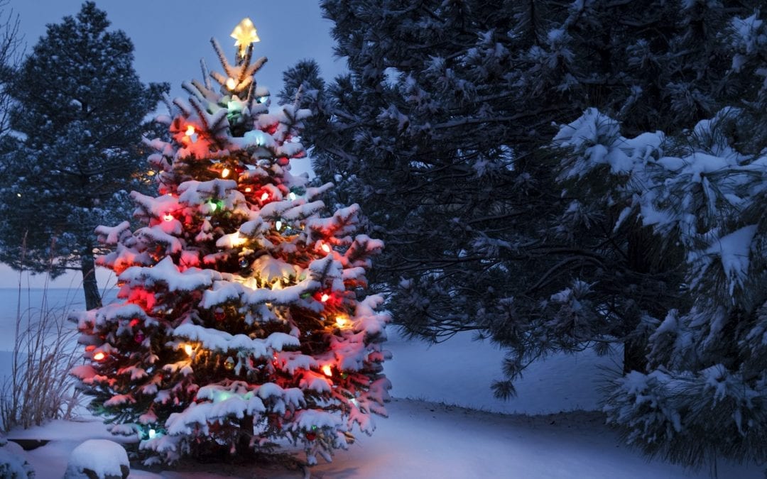 Banish the holiday blues by living in harmony with the season